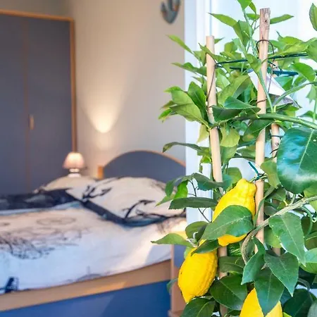 Apartment Peric *